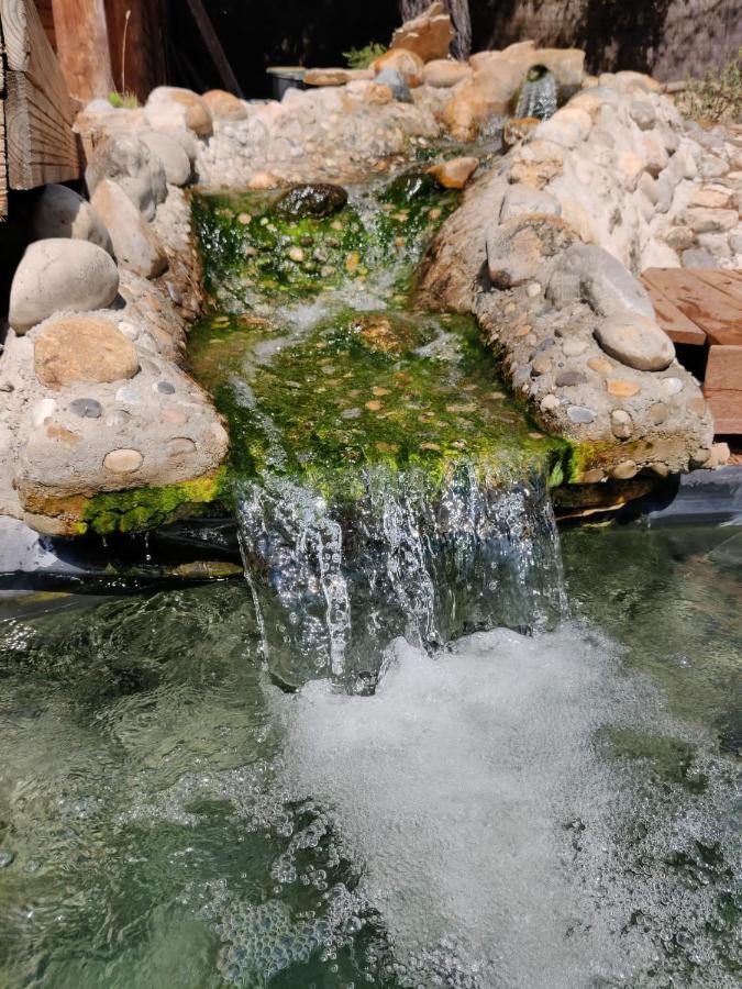 L'Etang Des Cigales Apartment Uchaux Екстериор снимка