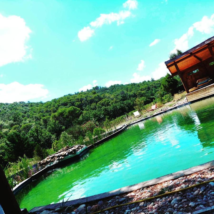 L'Etang Des Cigales Apartment Uchaux Екстериор снимка